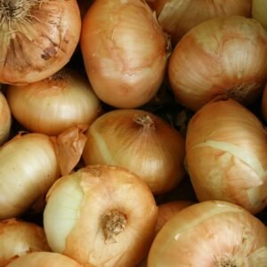 brown onion lot
